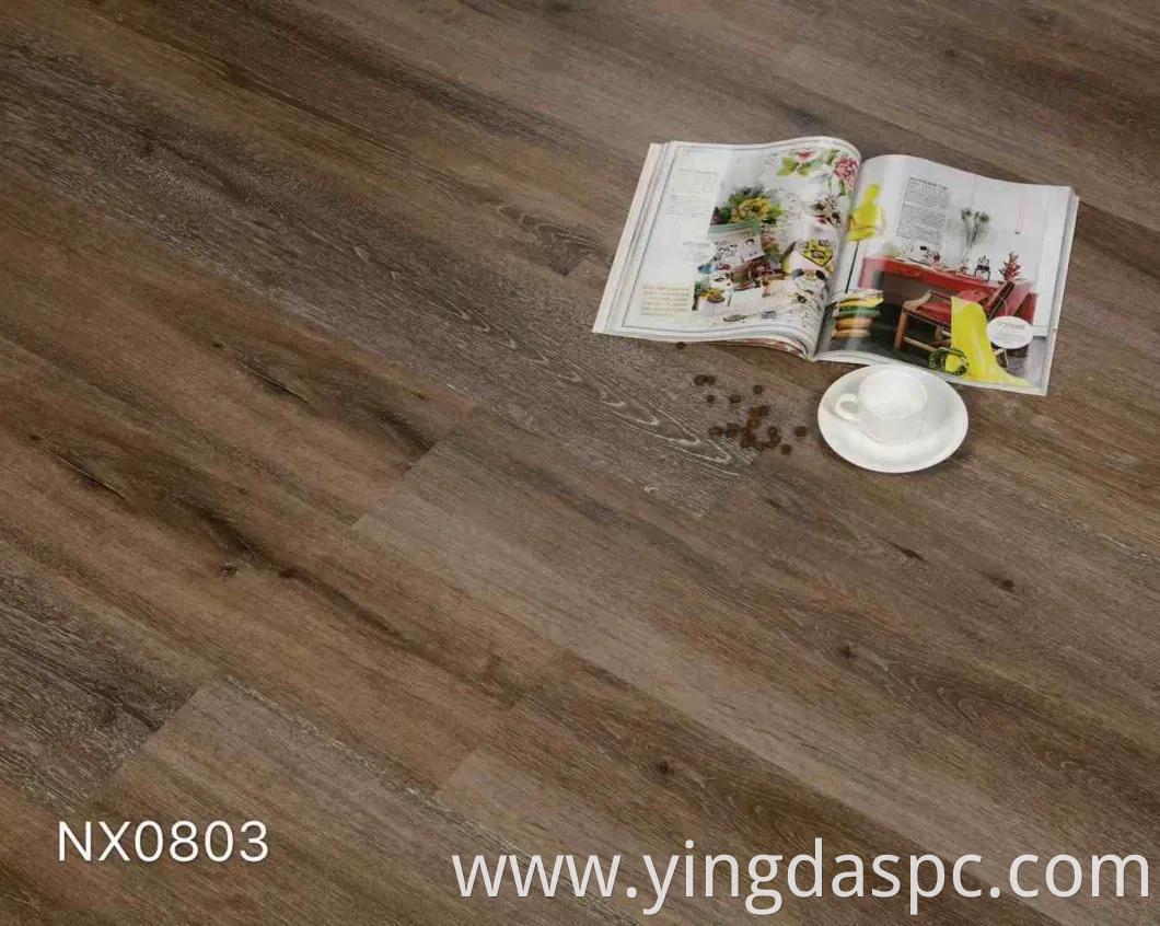 Eco-Friendly Vinyl Floor with Waterproof Nature (DL series)